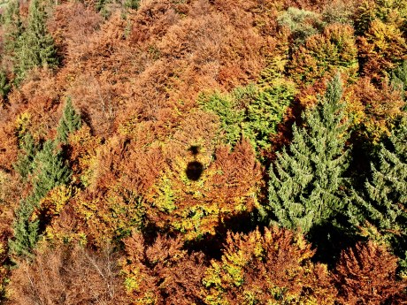 Schattenspiel der Gondel auf die Kampenwand im Herbst, © Manuela Maier