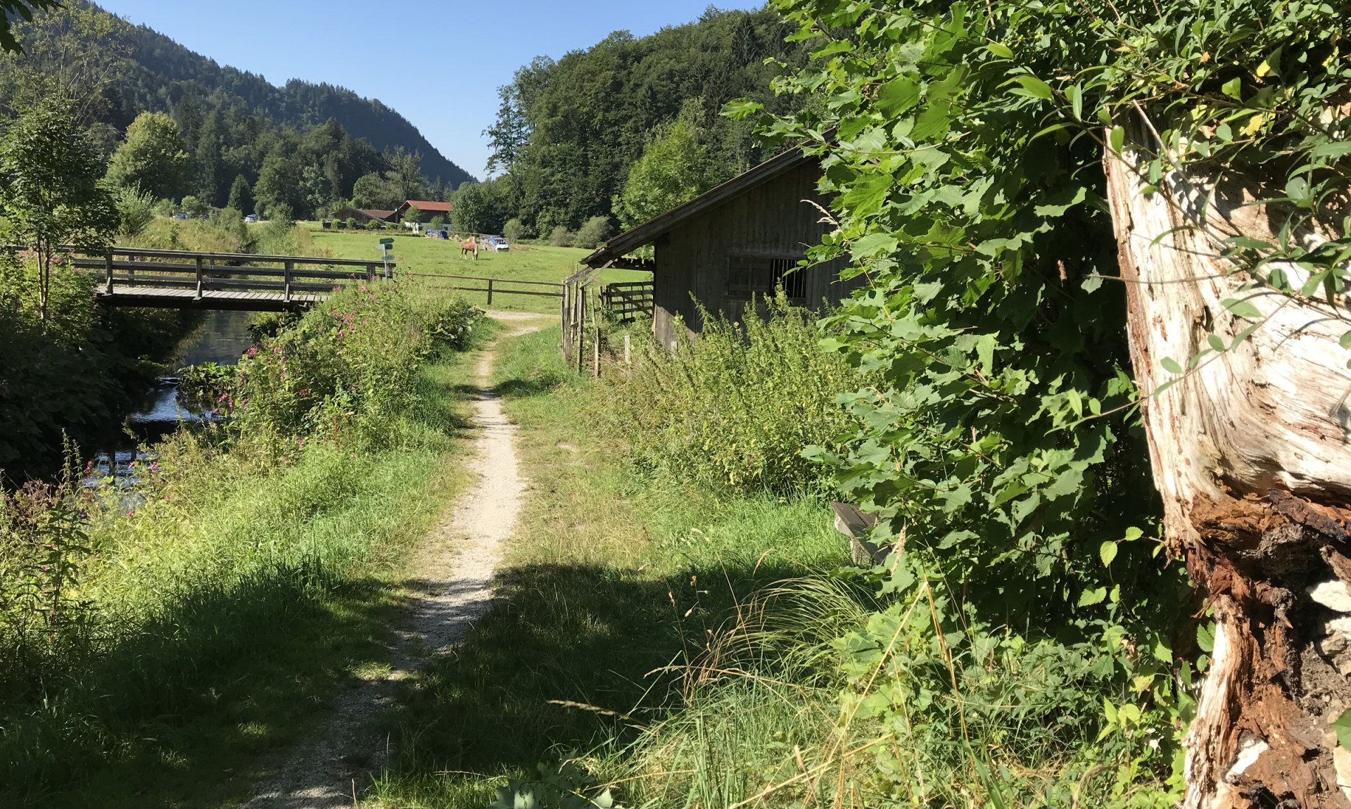 WaldApotheke Sachrang - Weg vor der Prienbrücke nach Berg