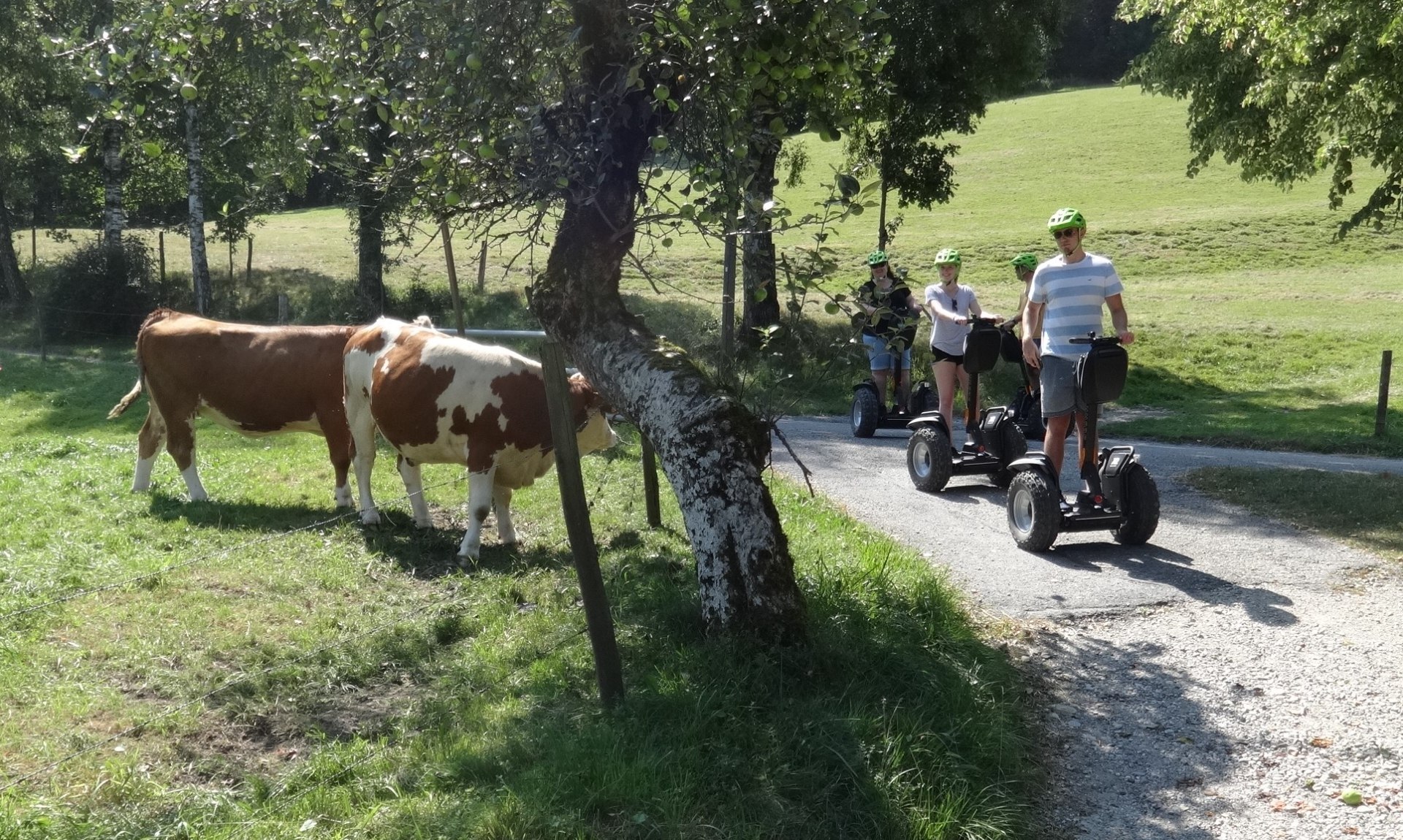 Segway Erlebnistour, © MonaTours