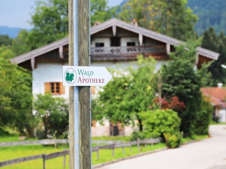 WaldApotheke Themenweg Sachrang, © Tourist Info Aschau im Chiemgau