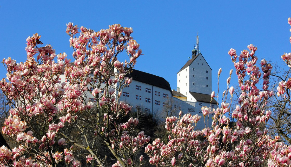 Schloss Hohenaschau im Frühling, © H. Reiter