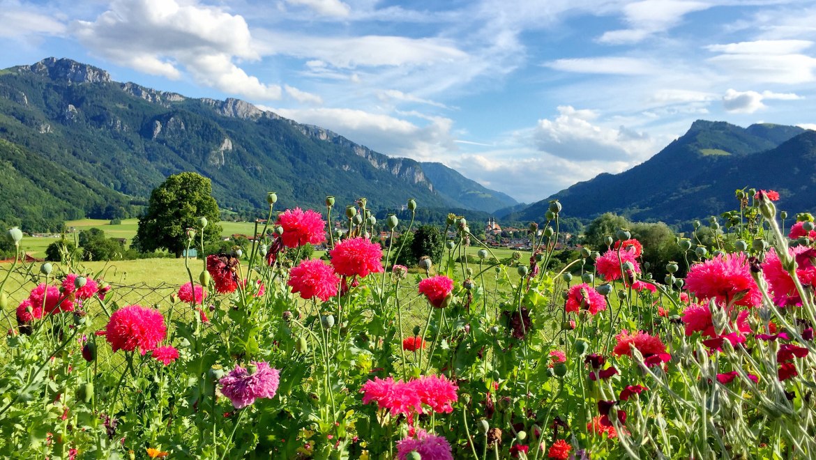 Blick ins Priental - Aschau im Chiemgau, © H. Reiter