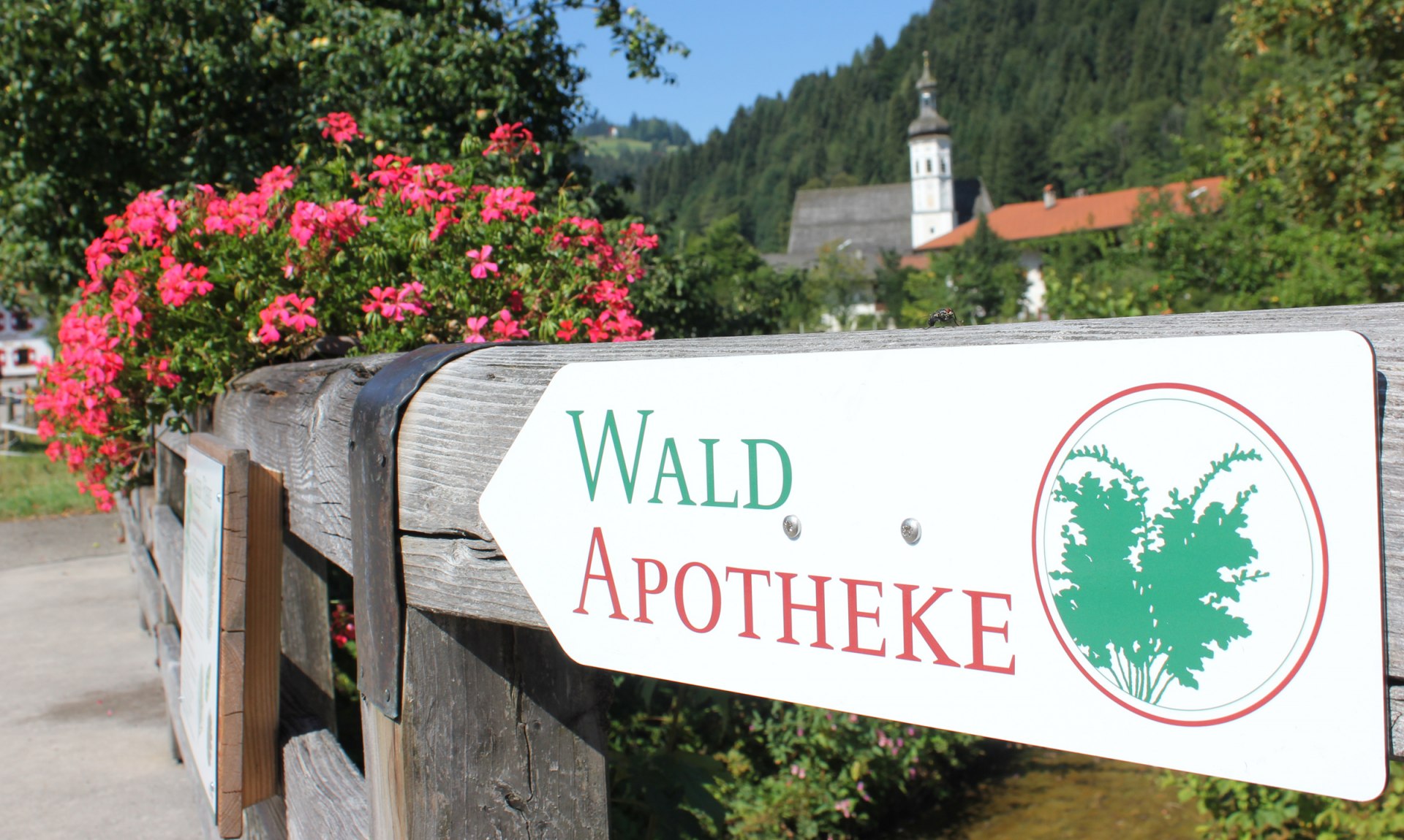 WaldApotheke Themenweg Sachrang, © Tourist Info Aschau im Chiemgau