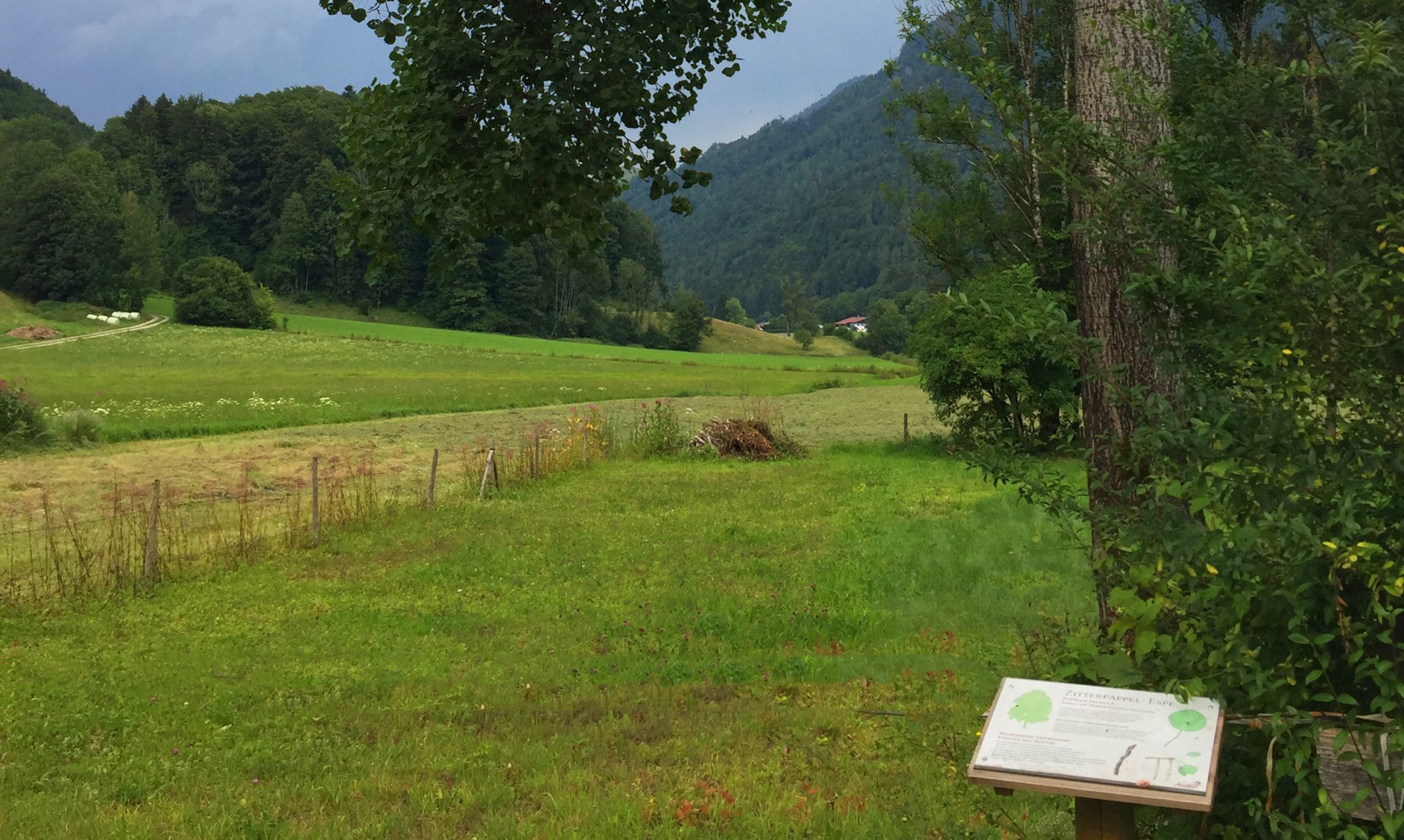 WaldApotheke Themenweg Sachrang - Espe, © Tourist Info Aschau im Chiemgau