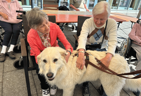 Hundebesuch1, &copy; C.R.