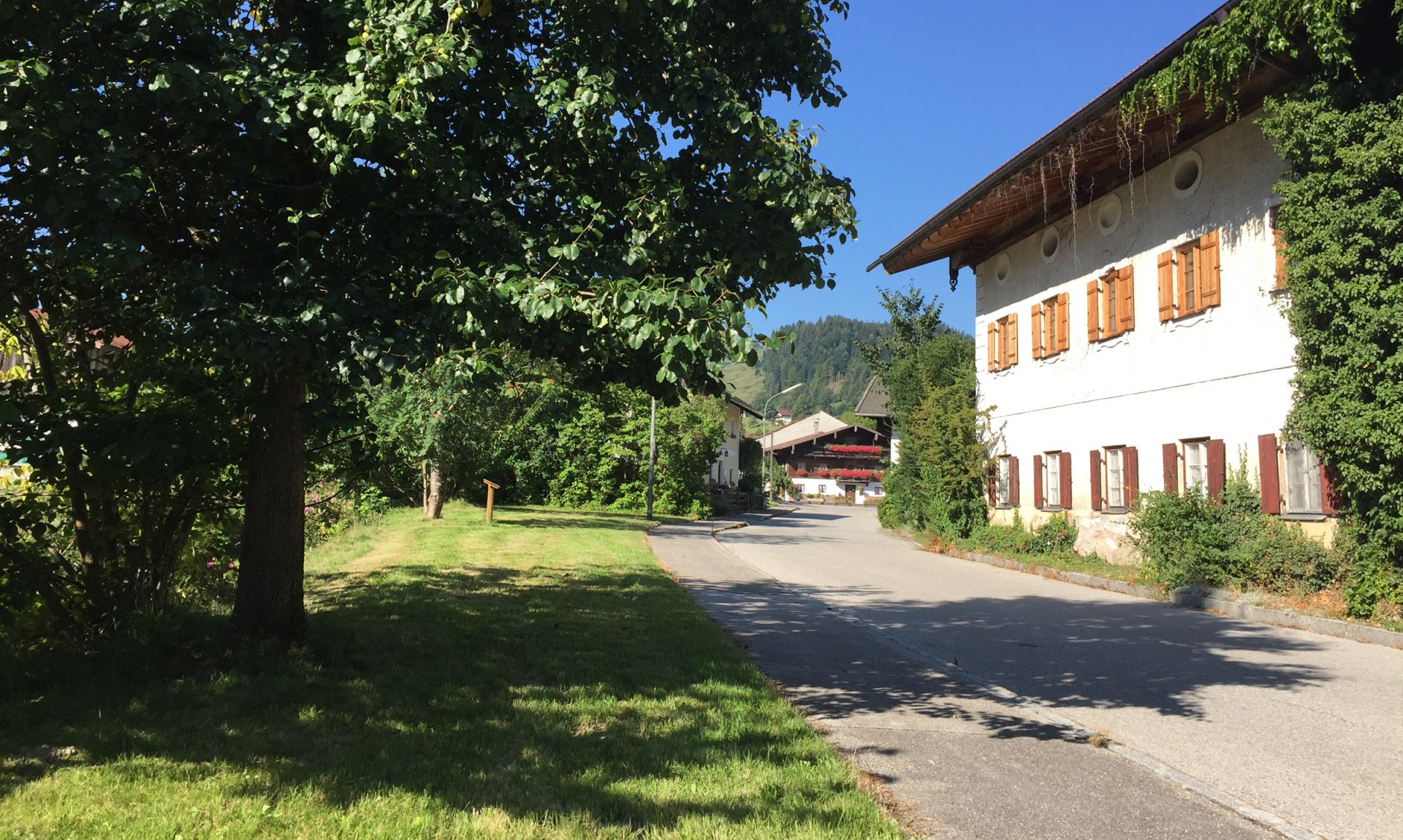 WaldApotheke Sachrang - Birnbaum im Ort, © Tourist Info Aschau im Chiemgau