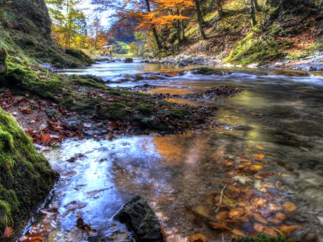 Prientaler Flusslandschaft - Fluss Prien, © Ralf Blumenschein