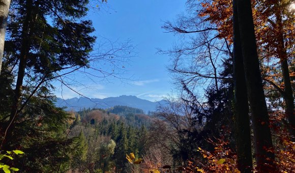 Aussicht auf die Kampenwand, © Tourist Info Aschau im Chiemgau