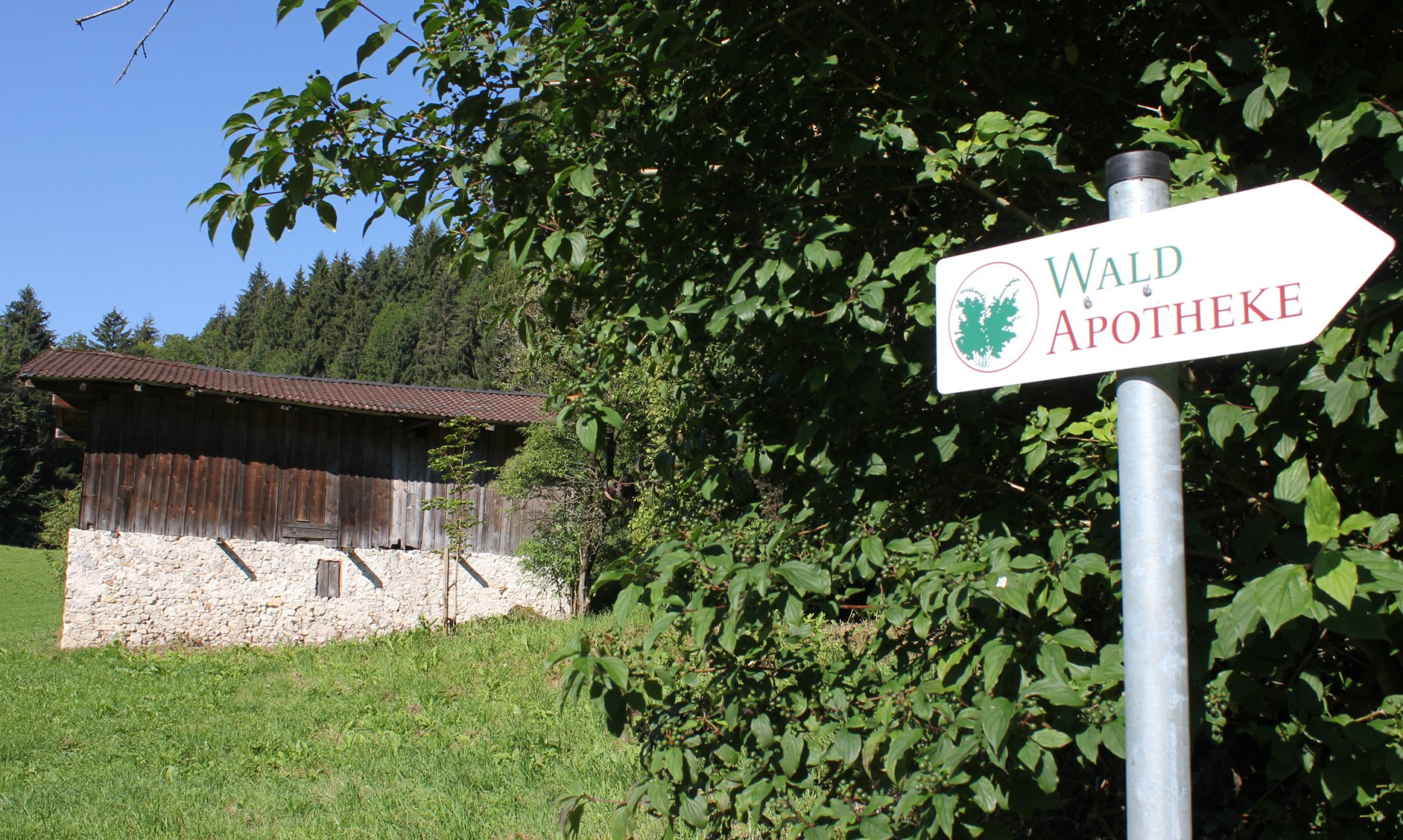 WaldApotheke Themenweg Sachrang, © Tourist Info Aschau im Chiemgau