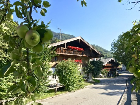 WaldApotheke Themenweg Sachrang - Weg vorbei an den alten Bauernhöfen im Ort, © Tourist Info Aschau im Chiemgau