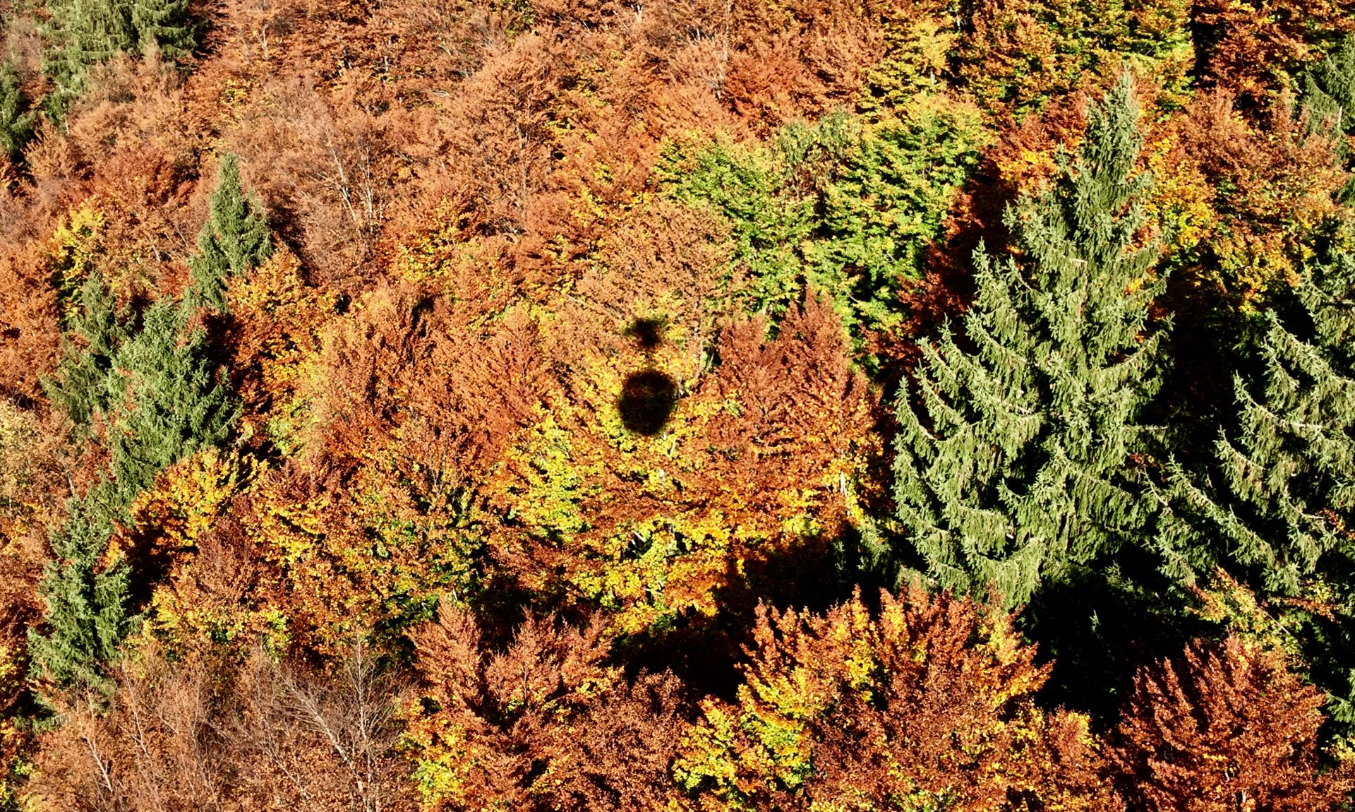 Schattenspiel der Gondel auf die Kampenwand im Herbst, © Manuela Maier