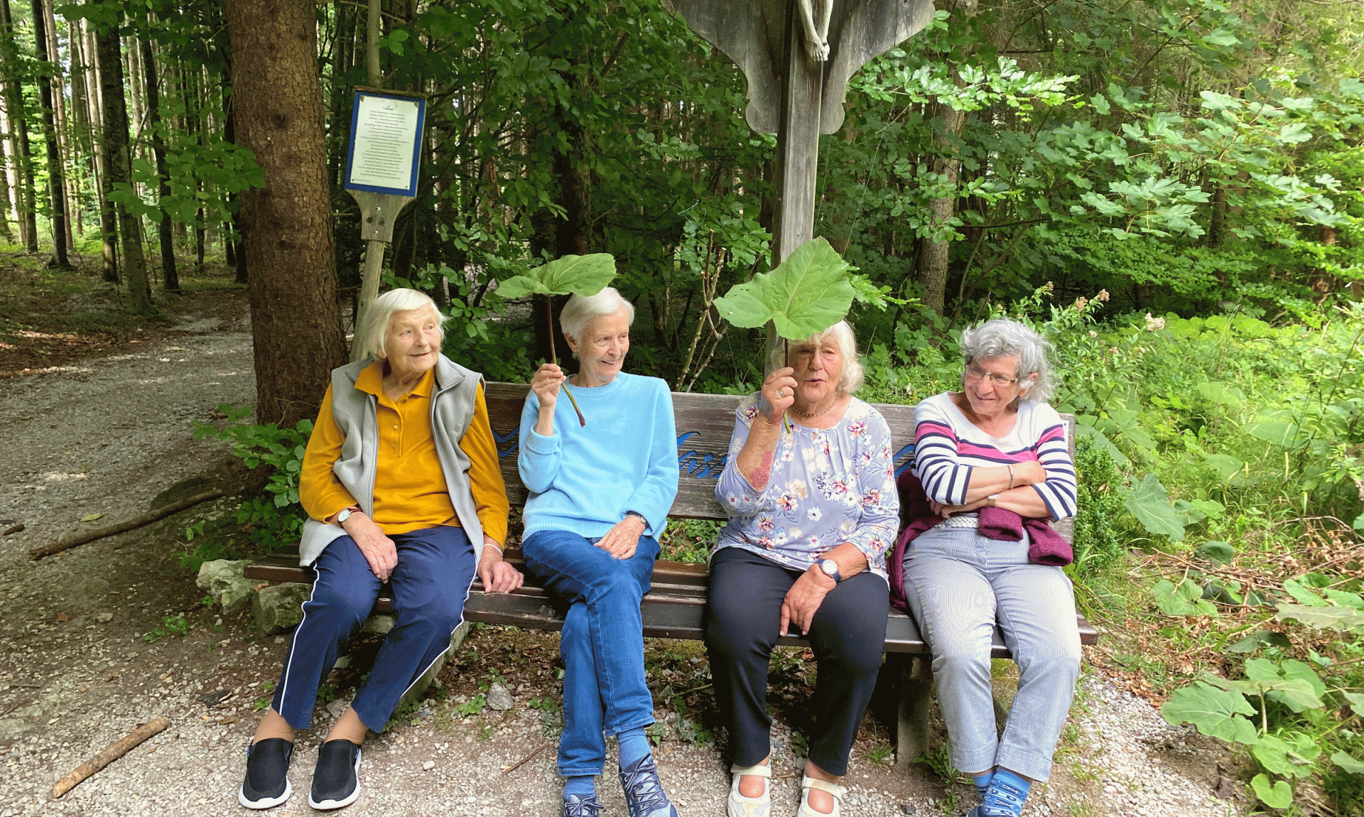 Waldspaziergang2, © C.R.