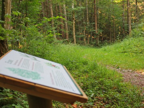 WaldApotheke Sachrang, © Tourist Info Aschau im Chiemgau