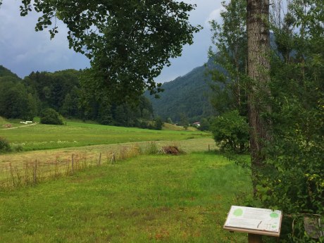 WaldApotheke Themenweg Sachrang - Espe, © Tourist Info Aschau im Chiemgau