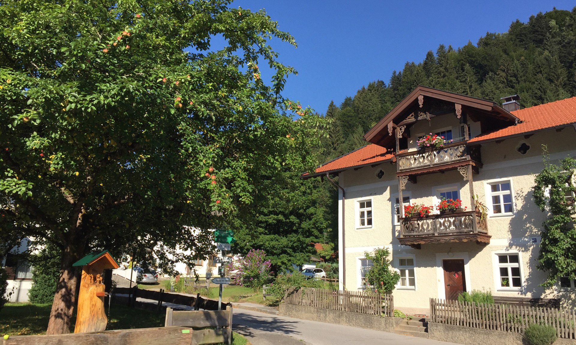 WaldApotheke Themenweg Sachrang - Apfelbaum im Ort mit Brunnen, © Tourist Info Aschau im Chiemgau