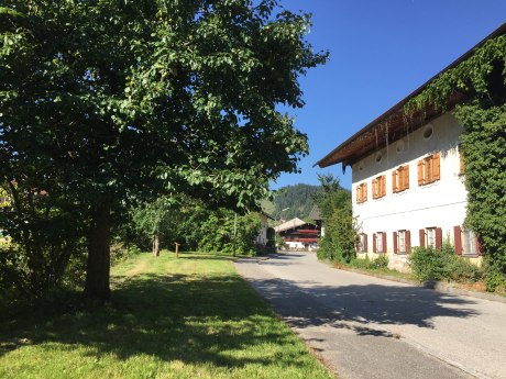 WaldApotheke Sachrang - Birnbaum im Ort, © Tourist Info Aschau im Chiemgau