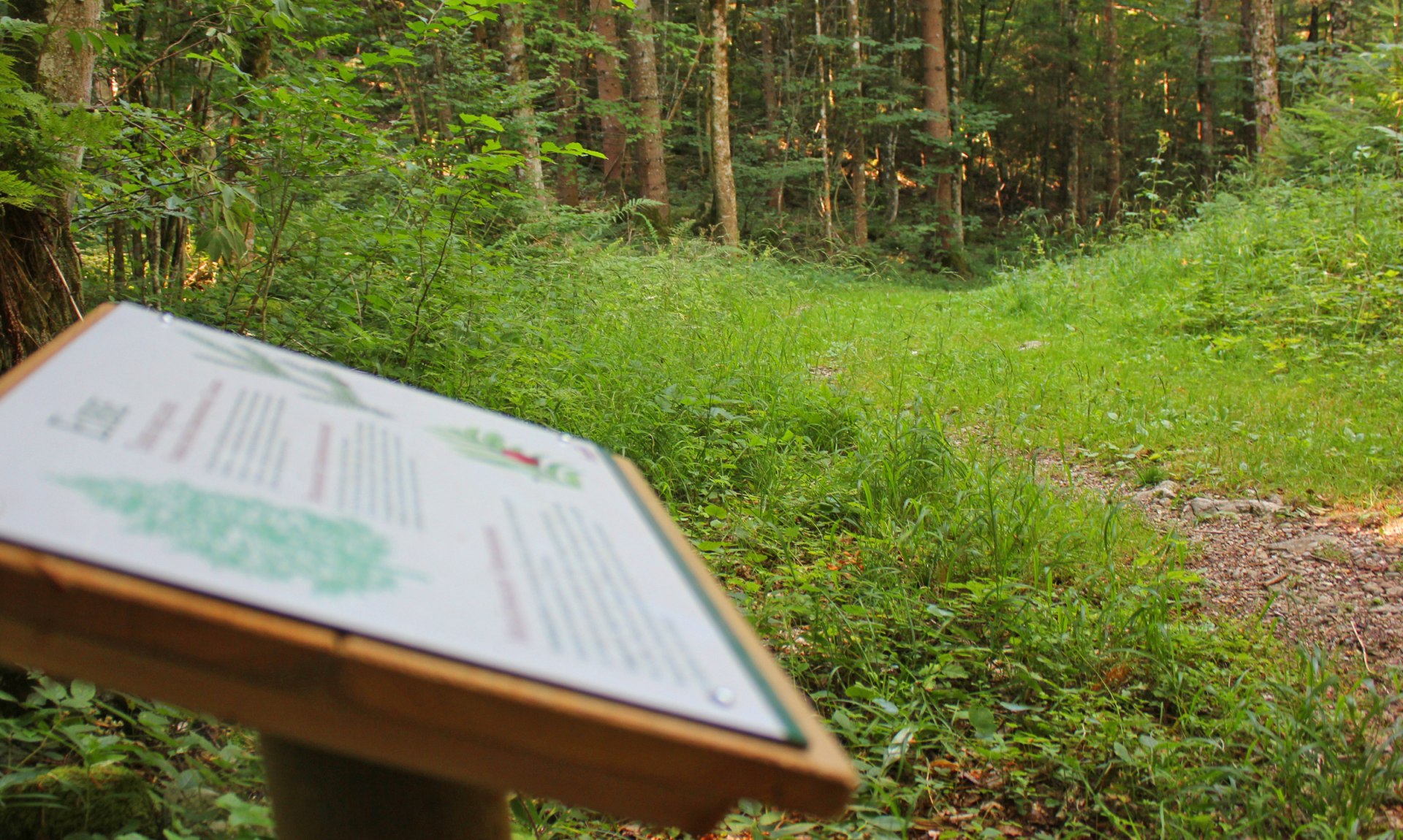 WaldApotheke Sachrang, © Tourist Info Aschau im Chiemgau