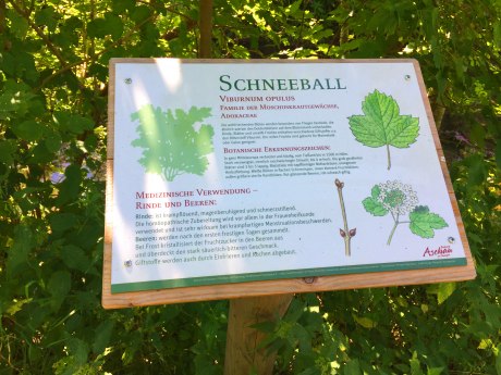 WaldApotheke Sachrang - Schild vom Baum &quot;Schneeball&quot;, © Tourist Info Aschau im Chiemgau