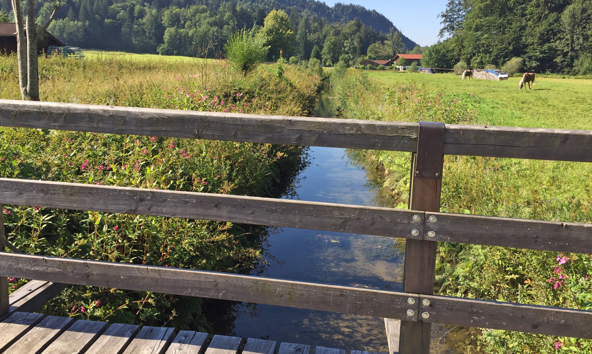 WaldApotheke Sachrang - Prienbrücke in Berg, © Tourist Info Aschau im Chiemgau