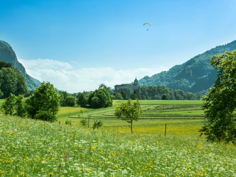 Schloss Hohenaschau im Sommer, © Foto Berger