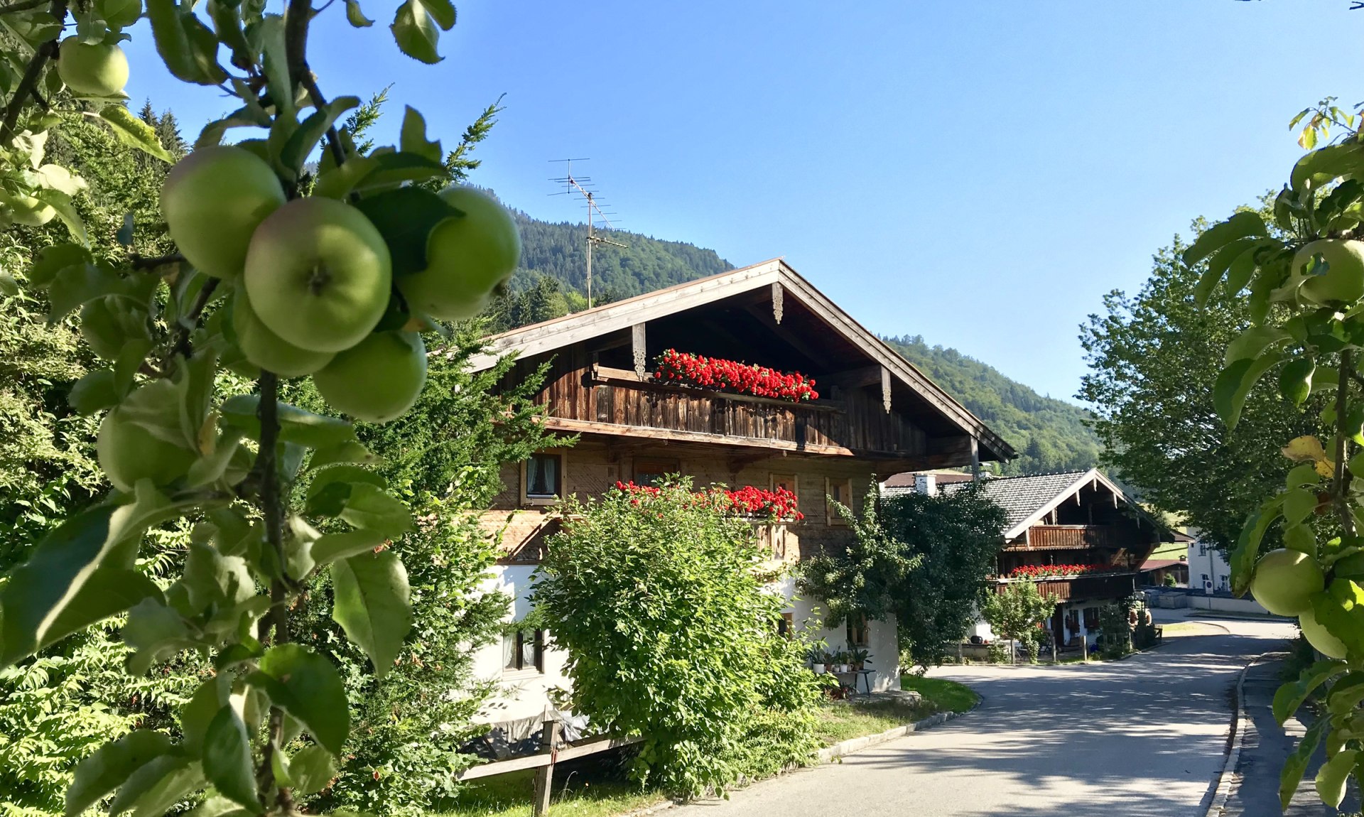 WaldApotheke Themenweg Sachrang - Weg vorbei an den alten Bauernhöfen im Ort, © Tourist Info Aschau im Chiemgau